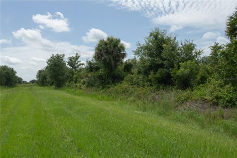 Land in Okeechobee, Florida № 2275442 - photo 13