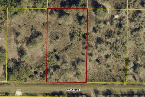 Land in Okeechobee, Florida № 2275442 - photo 16
