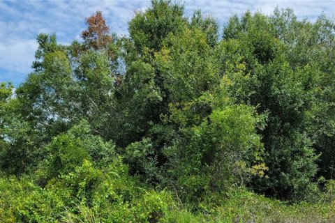 Land in Okeechobee, Florida № 2275442 - photo 7