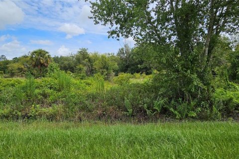 Land in Okeechobee, Florida № 2275442 - photo 9