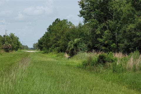 Land in Okeechobee, Florida № 2275442 - photo 4