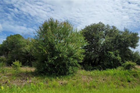 Land in Okeechobee, Florida № 2275442 - photo 3