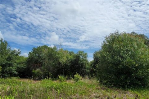 Land in Okeechobee, Florida № 2275442
