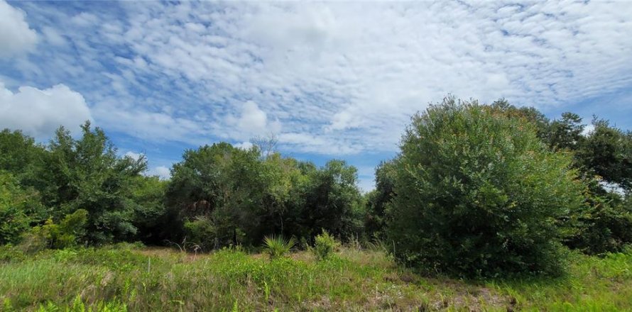 Land in Okeechobee, Florida № 2275442
