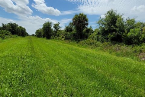 Land in Okeechobee, Florida № 2275442 - photo 5