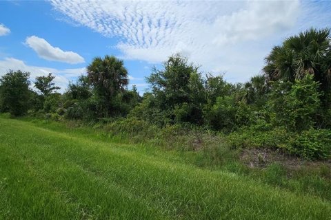 Land in Okeechobee, Florida № 2275442 - photo 12