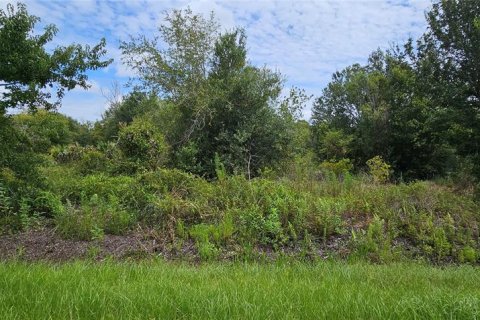 Land in Okeechobee, Florida № 2275442 - photo 8