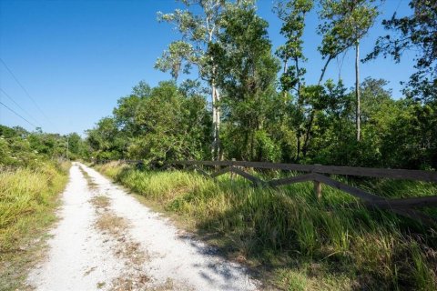Land in Myakka City, Florida № 2299239