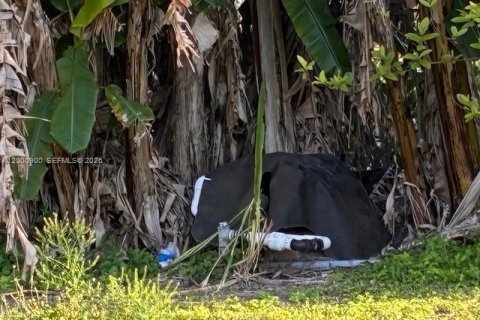 Купить коммерческую недвижимость в Майами, Флорида № 2067778 - фото 7