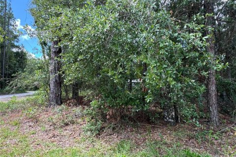 Land in Chiefland, Florida № 2163873 - photo 6