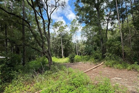 Land in Chiefland, Florida № 2163873 - photo 3