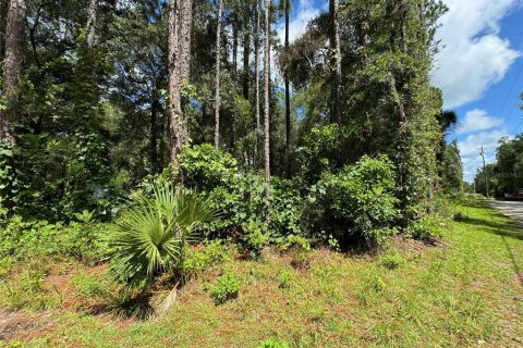 Land in Chiefland, Florida № 2163873 - photo 5