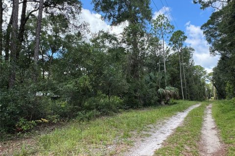 Land in Chiefland, Florida № 2163873 - photo 2