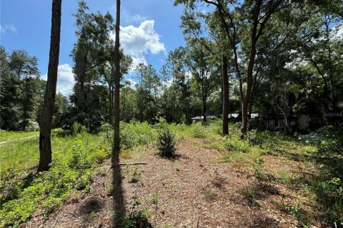 Land in Chiefland, Florida № 2163873 - photo 7