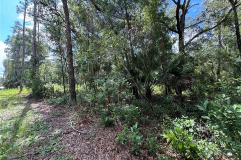 Land in Chiefland, Florida № 2163873 - photo 9