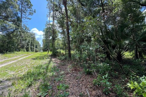 Land in Chiefland, Florida № 2163873 - photo 8