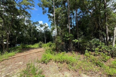 Land in Chiefland, Florida № 2163873 - photo 4