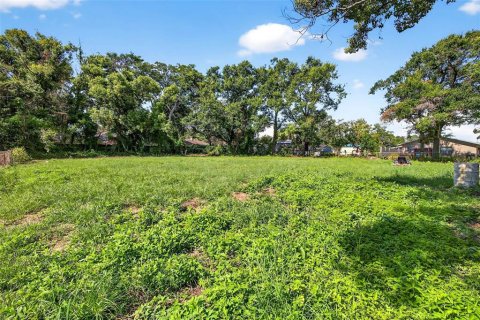 House in Thonotosassa, Florida 3 bedrooms, 118.54 sq.m. № 1880856 - photo 29
