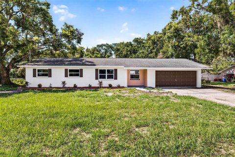 House in Thonotosassa, Florida 3 bedrooms, 118.54 sq.m. № 1880856 - photo 1