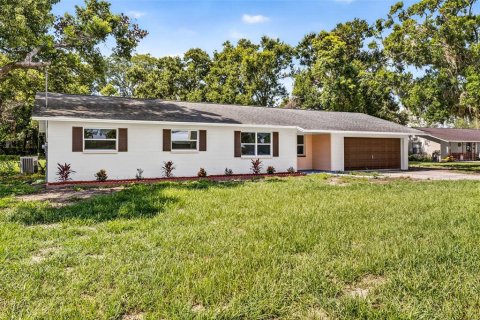 House in Thonotosassa, Florida 3 bedrooms, 118.54 sq.m. № 1880856 - photo 3