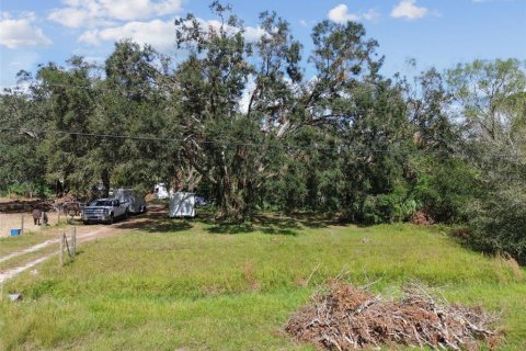 Land in Wimauma, Florida № 1428975 - photo 1