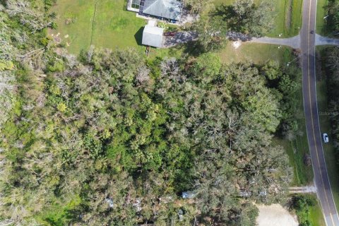 Land in Wimauma, Florida № 1428975 - photo 15