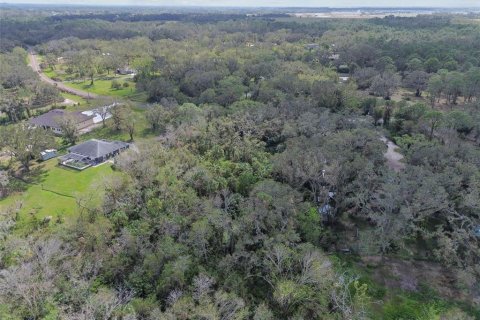 Land in Wimauma, Florida № 1428975 - photo 12