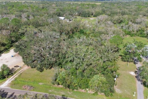 Land in Wimauma, Florida № 1428975 - photo 3