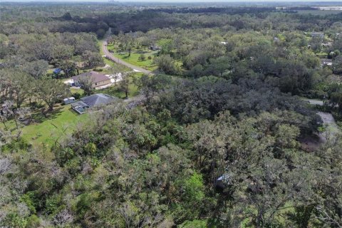 Land in Wimauma, Florida № 1428975 - photo 13