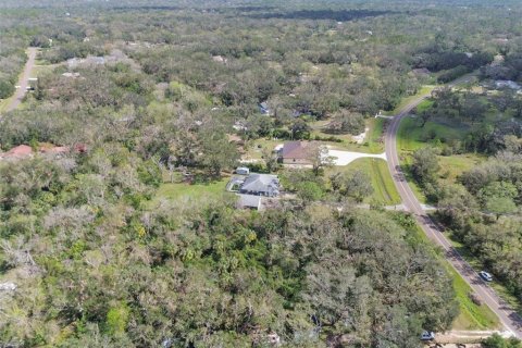 Land in Wimauma, Florida № 1428975 - photo 14
