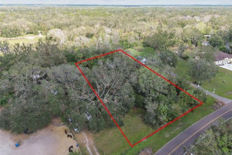 Land in Wimauma, Florida № 1428975 - photo 8
