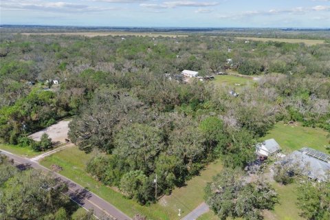 Land in Wimauma, Florida № 1428975 - photo 25