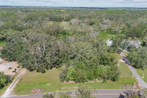 Land in Wimauma, Florida № 1428975 - photo 27