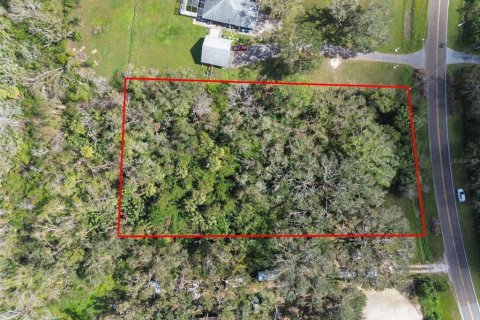 Land in Wimauma, Florida № 1428975 - photo 16