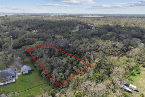 Land in Wimauma, Florida № 1428975 - photo 10