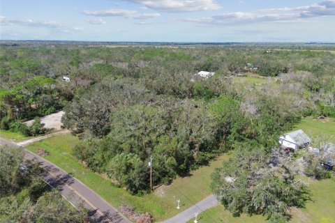 Land in Wimauma, Florida № 1428975 - photo 26