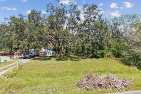 Land in Wimauma, Florida № 1428975 - photo 2