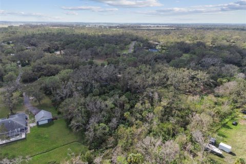Land in Wimauma, Florida № 1428975 - photo 9