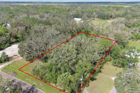 Land in Wimauma, Florida № 1428975 - photo 5
