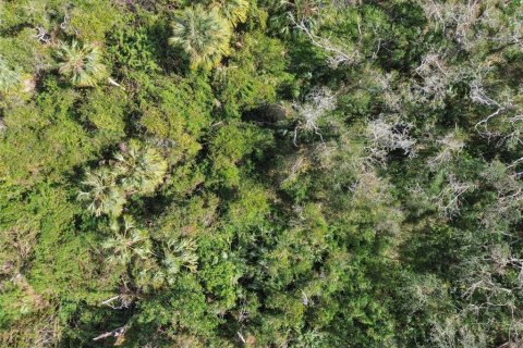 Land in Wimauma, Florida № 1428975 - photo 29