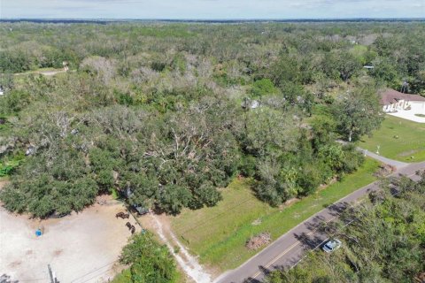 Land in Wimauma, Florida № 1428975 - photo 28