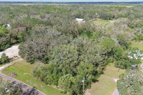 Land in Wimauma, Florida № 1428975 - photo 4