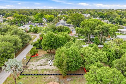House in Tampa, Florida 5 bedrooms, 382.76 sq.m. № 2210793 - photo 7