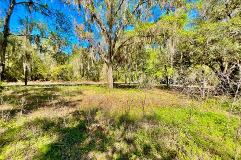 Terreno en venta en Melrose, Florida № 2159509 - foto 7