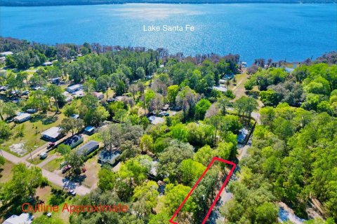 Land in Melrose, Florida № 2159509