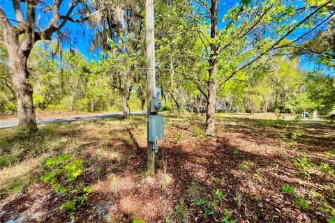 Terreno en venta en Melrose, Florida № 2159509 - foto 6