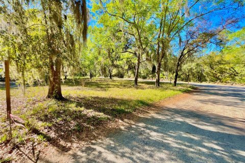 Terreno en venta en Melrose, Florida № 2159509 - foto 9