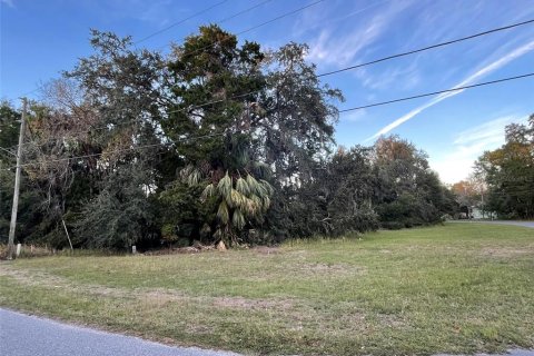 Terreno en venta en Homosassa, Florida № 890652 - foto 4