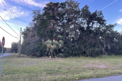 Terreno en venta en Homosassa, Florida № 890652 - foto 5
