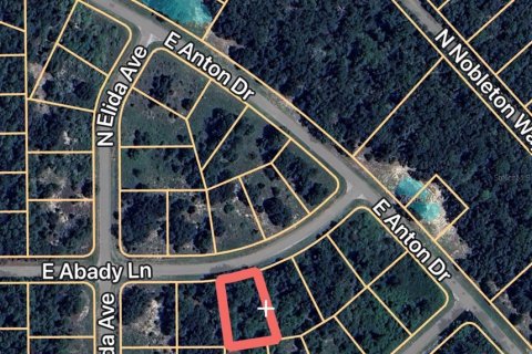 Купить земельный участок в Даннеллон, Флорида № 2160912 - фото 6